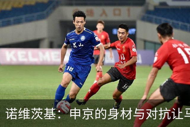 诺维茨基：申京的身材与对抗让马刺防守不堪重负